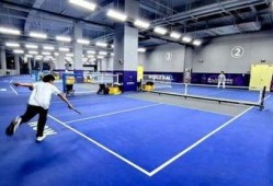 体育圈的天花板,巅峰时刻的辉煌与挑战